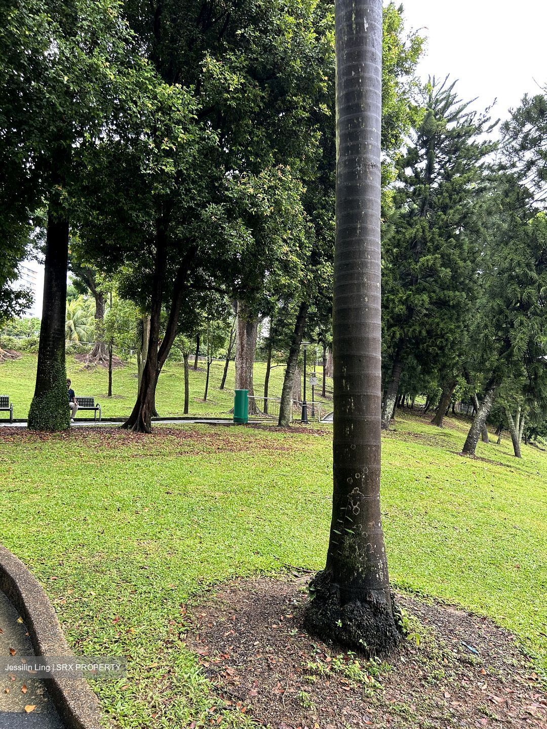 Bukit Purmei Road (Bukit Merah),  #581324541